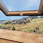 Apartment Schneider Todtnauberg