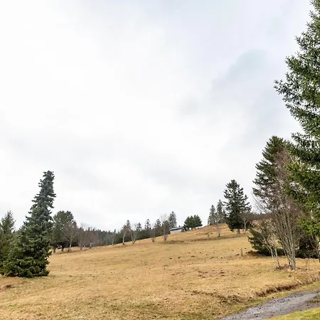 Apartmán Schneider Todtnauberg Todtnau