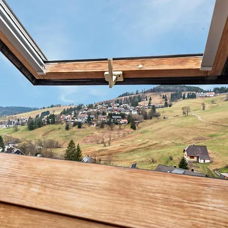 Schneider Todtnauberg Apartmán Todtnau