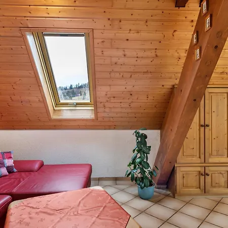 Apartment Schneider Todtnauberg Todtnau