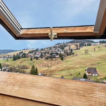 Appartamento Schneider Todtnauberg