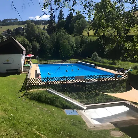 Apartment Schneider Todtnauberg