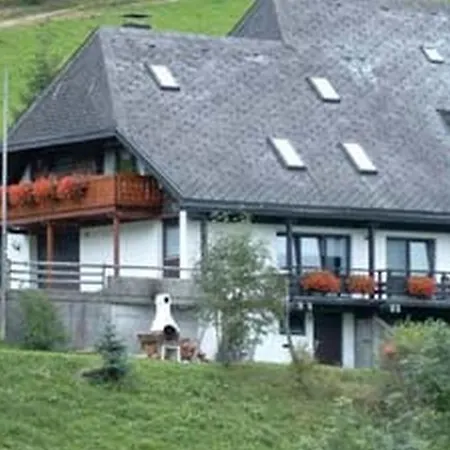 Apartment Schneider Todtnauberg *